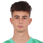 Torriani